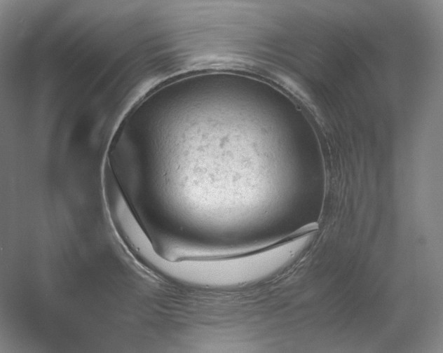 X0000053091283200507251555