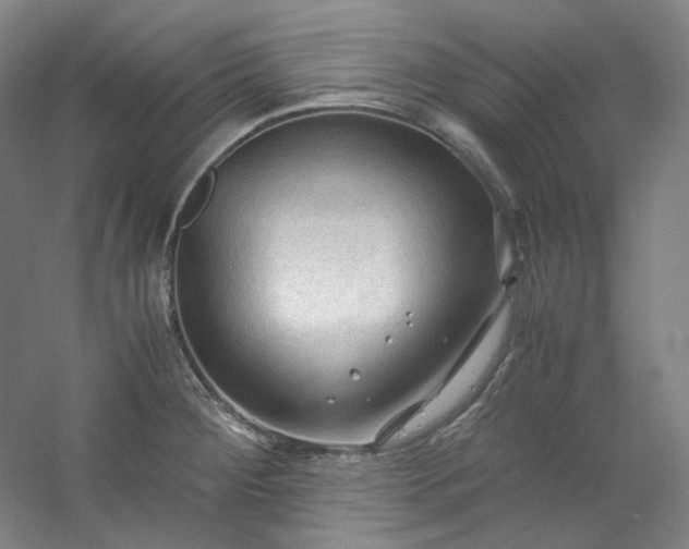 X0000053091284200507251555