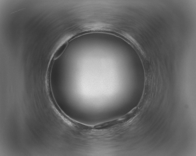 X0000053091285200507251555