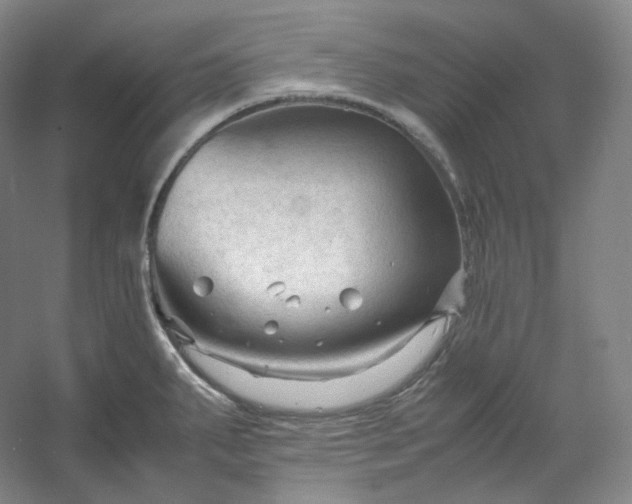 X0000053091287200507251555