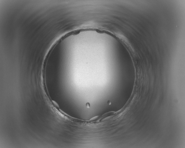 X0000053091288200507251555