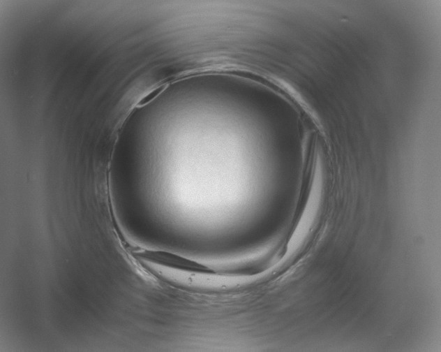 X0000053091289200507251555