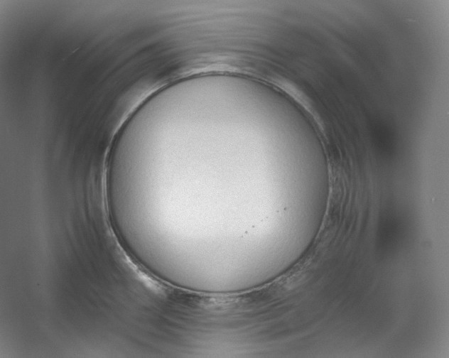 X0000053091290200507251555