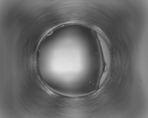 X0000053091292200507251555