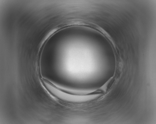 X0000053091293200507251555