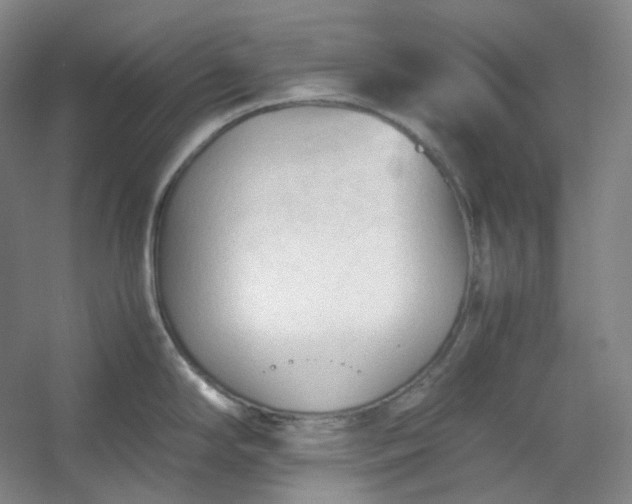 X0000053091294200507251555