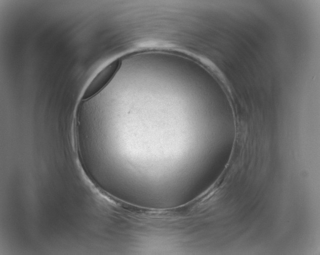 X0000053091295200507251555