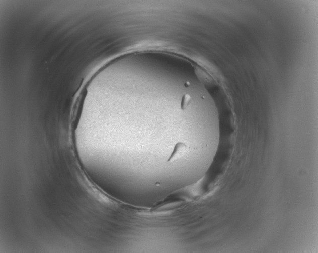 X0000053091296200507251555