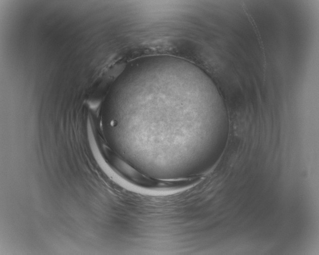 X0000053091298200507251554