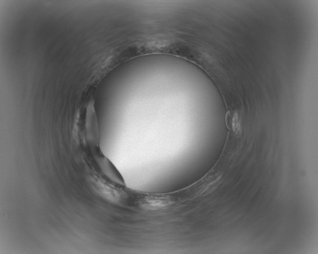 X0000053091299200507251554