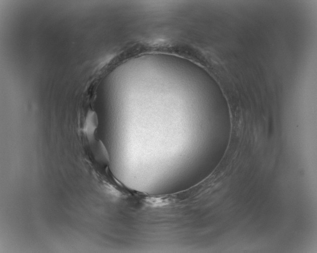 X0000053091301200507251554