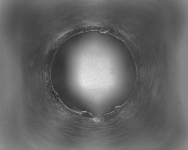 X0000053091303200507251554