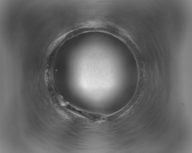 X0000053091304200507251554