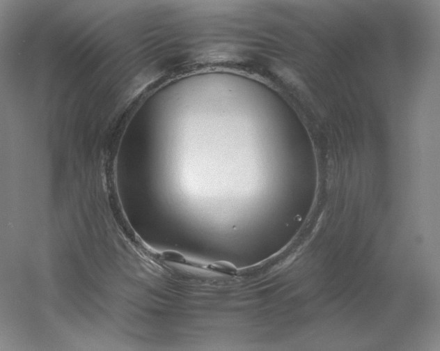 X0000053091305200507251554