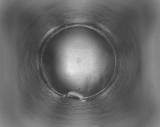 X0000053091306200507251554