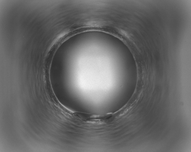 X0000053091307200507251554