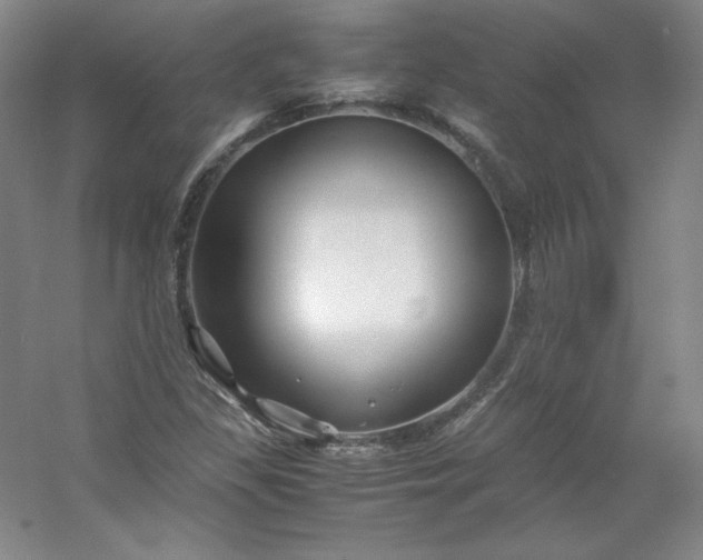 X0000053091309200507251554