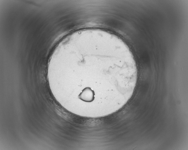 X0000053091314200507251554