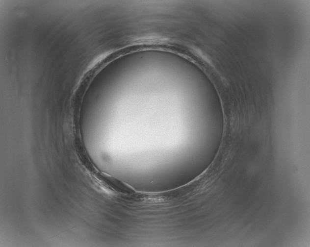 X0000053091315200507251554