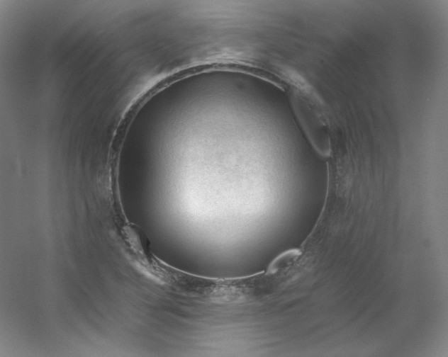 X0000053091316200507251554