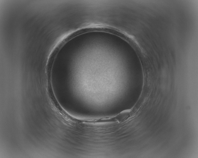 X0000053091319200507251554