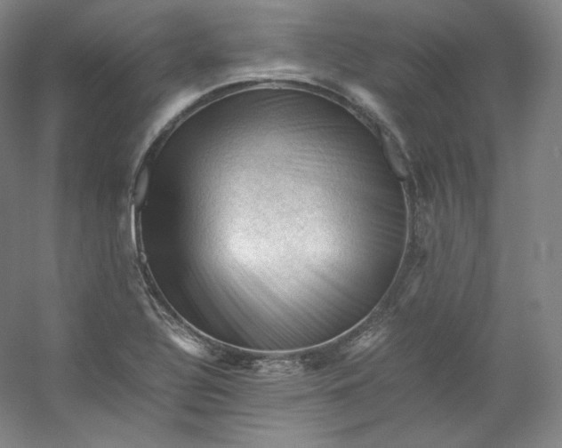 X0000053091320200507251554