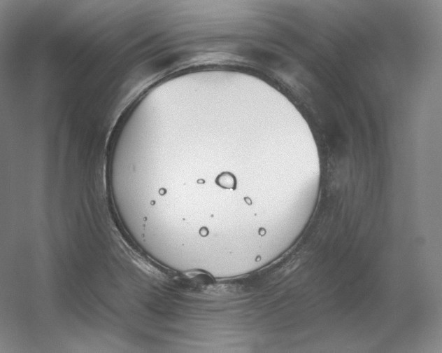 X0000053091322200507251554