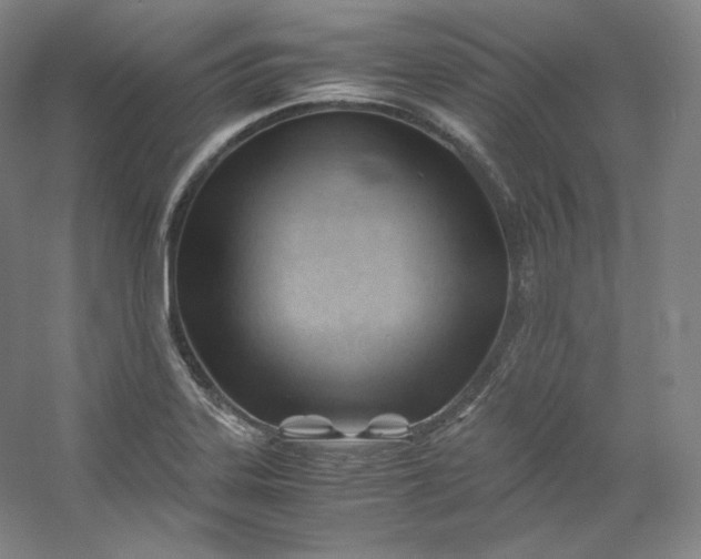 X0000053091323200507251554