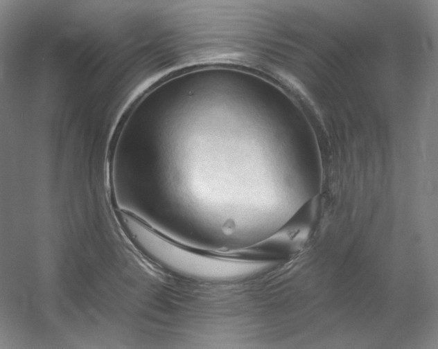 X0000053091324200507251554