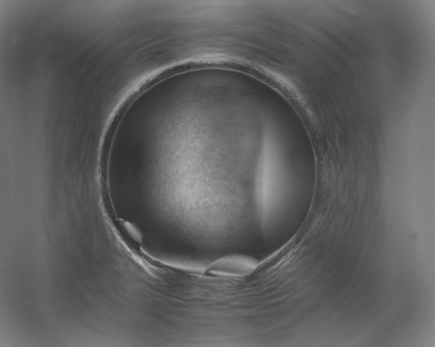 X0000053091327200507251554