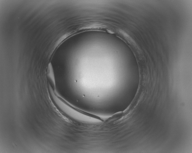 X0000053091329200507251554