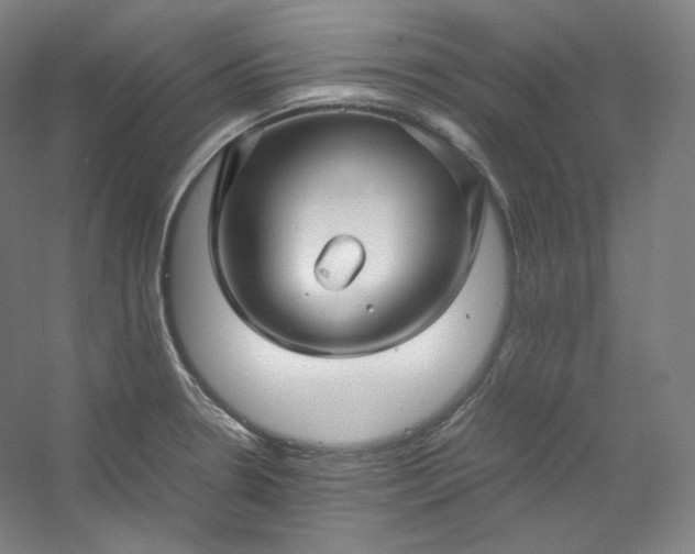 X0000053091330200507251554