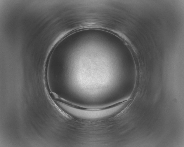 X0000053091333200507251554