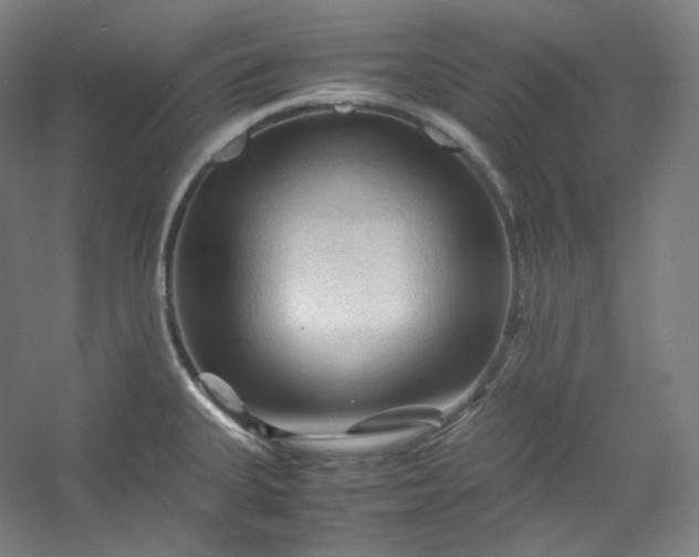 X0000053091335200507251554