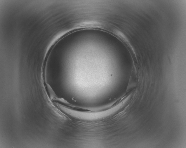 X0000053091336200507251554