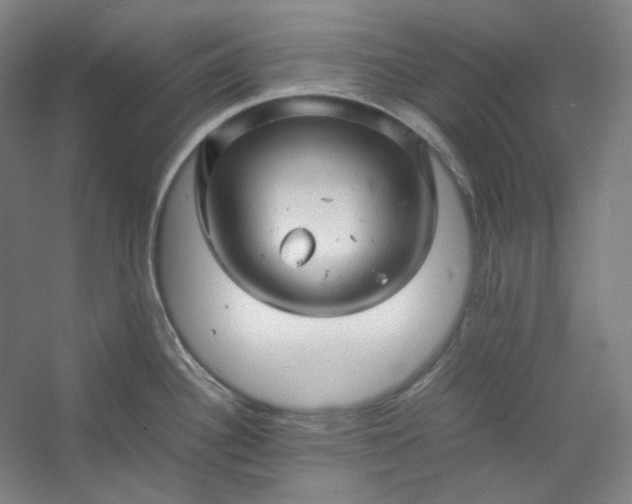 X0000053091340200507251554