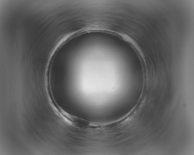 X0000053091341200507251555