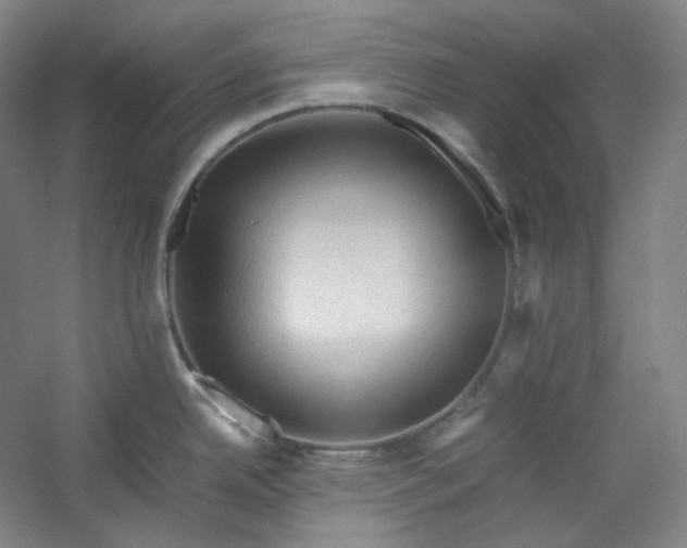 X0000053091342200507251555