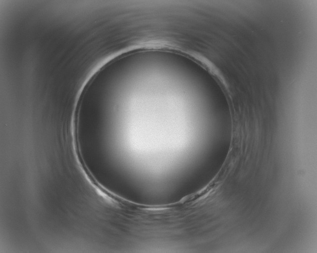 X0000053091343200507251555