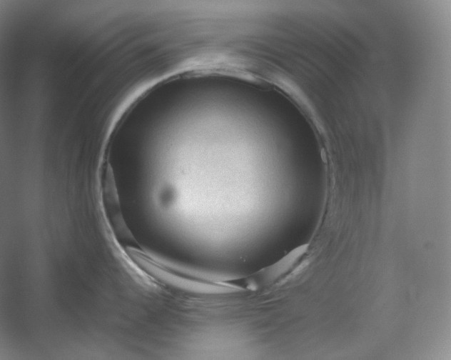 X0000053091344200507251555