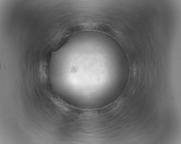 X0000053091346200507251554