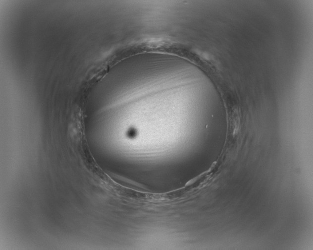 X0000053091349200507251554