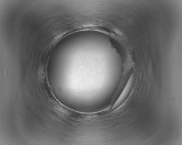 X0000053091353200507251554