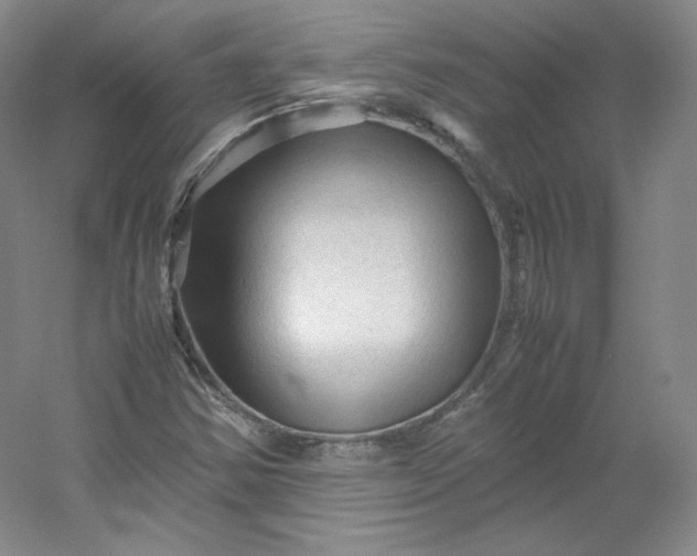 X0000053091354200507251554