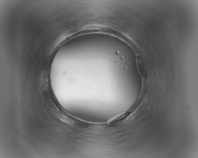 X0000053091355200507251554