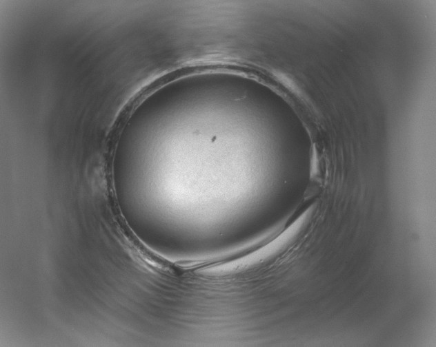 X0000053091356200507251554