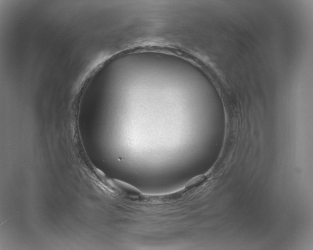 X0000053091359200507251553