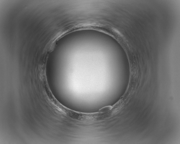 X0000053091361200507251553