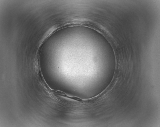 X0000053091362200507251553