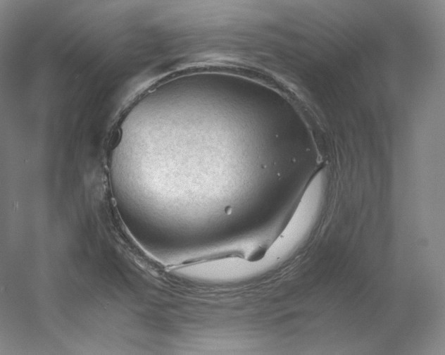 X0000053091363200507251553